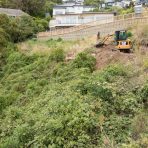 WS-digging-on-hill