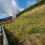 Hillside before planting