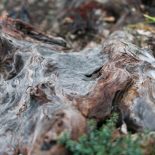 Soft-Landscaping-5